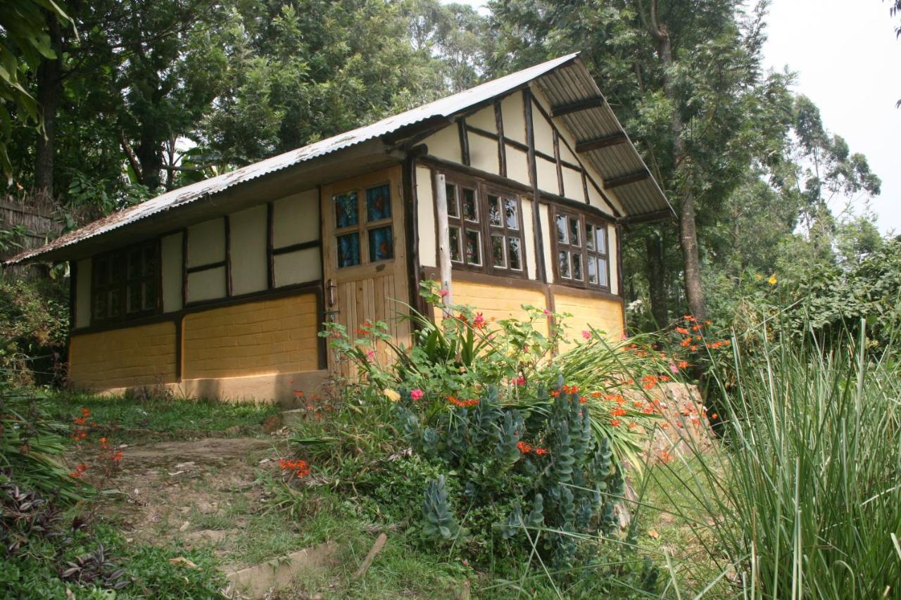 Amasiko Homestay Lake Bunyonyi キバレ エクステリア 写真