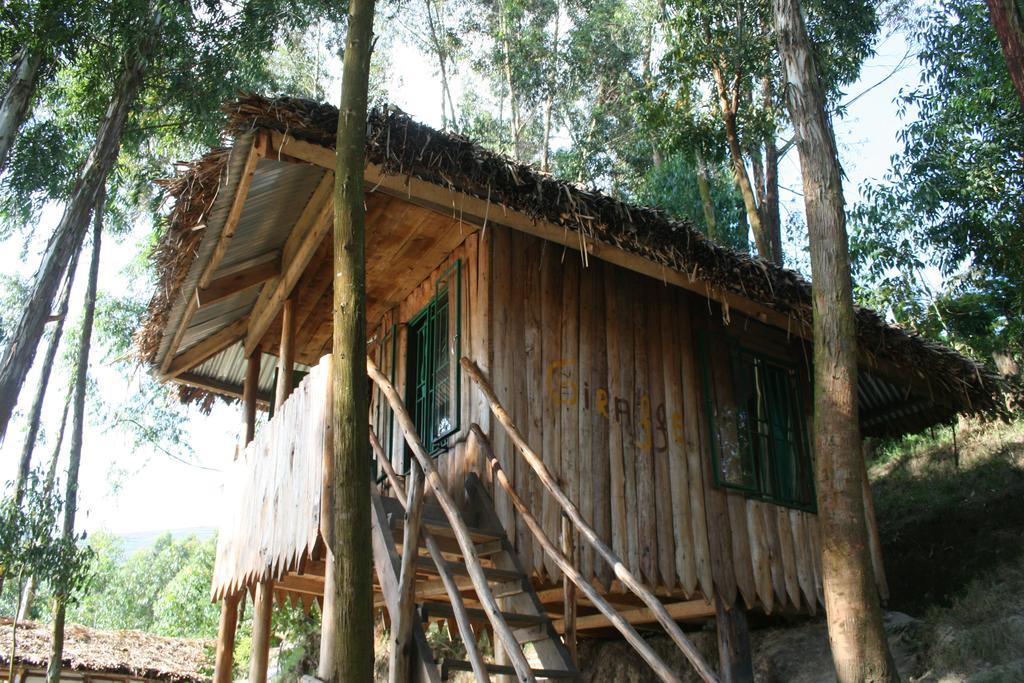 Amasiko Homestay Lake Bunyonyi キバレ エクステリア 写真