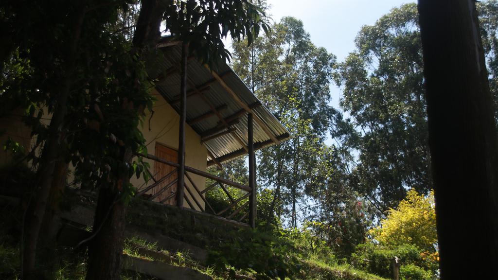 Amasiko Homestay Lake Bunyonyi キバレ エクステリア 写真