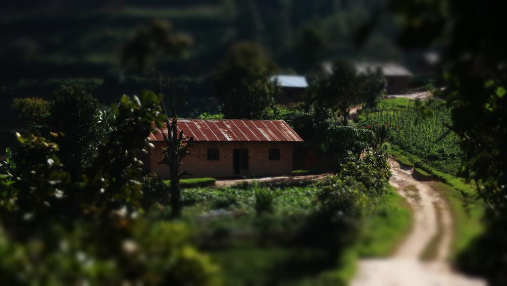 Amasiko Homestay Lake Bunyonyi キバレ エクステリア 写真
